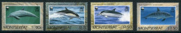 Montserrat 786-89 Postfrisch Delfine WWF #JM217 - Anguilla (1968-...)