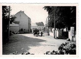 Ref 3 - Photo : Boeufs , Charrette Et Fouins , Ville Et Environs à Berdorf Au Luxembourg  . - Europa