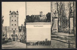 AK Greillenstein, Frontalansicht Des Schlosses, Tor Zum Schlosshof  - Other & Unclassified