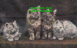 R455628 Kittens. Cats. B. B. London. Series No. A33 - Andere & Zonder Classificatie