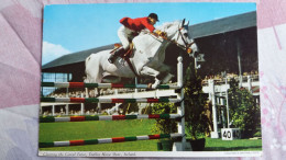 CPSM CHEVAL DE COURSE SAUT D OBSTACLE CLEARING THE CORRAL FENCE DUBLIN HORSE SHOW IRELAND JOHN HINDE - Horses