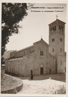 2h.536   PREDAPPIO Nuova - Chiesa Romanica Di S. Cassiano In Appennino - Sonstige & Ohne Zuordnung