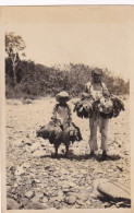 Real Photo South America Children Working Carrying Many Birds . Hunting . Chasse Oiseaux Slavery Esclavage - Sonstige & Ohne Zuordnung