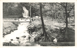 BELGIQUE - La Hoegne - Vue Sur La Cascade Du Moulin Thorez - Vue Générale - Carte Postale Ancienne - Other & Unclassified