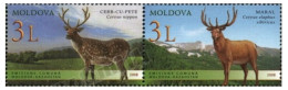 MOLDAVIA 2008 - MOLDOVA - CIERVOS - CERFS - DEERS - YVERT 545/546** - Gibier