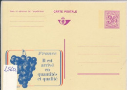 BELGIUM PPS  SBEP 25 PUBLIBEL  2560 UNUSED - Werbepostkarten