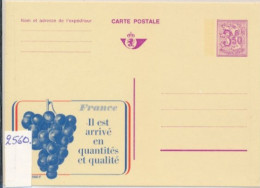 BELGIUM PPS  SBEP 25 PUBLIBEL  2560 UNUSED - Werbepostkarten