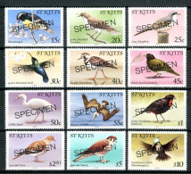 ST. KITTS 1981** - Uccelli / Birds - 12 Val. MNH (Specimen Set MNH). - Autres & Non Classés