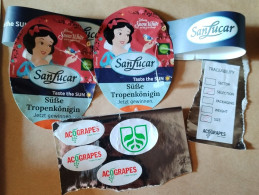 FRUITS LABELS-SNOW WHITE,DISNEY,SUN LUCAR PINNAPPLE,GRAPPES - Obst Und Gemüse