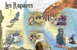 ( 250 11) - 2011- CENTRAL AFRICAN - BIRDS OF PREY                4V  MNH** - Adler & Greifvögel