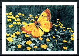 St. Vincent Block 447 Postfrisch Schmetterlinge #HB245 - St.Vincent & Grenadines