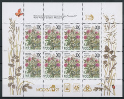 Russland Kleinbogen 437 Mit Zudruck Postfrisch Blumen #JT937 - Other & Unclassified
