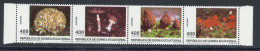 Äquatorial-Guinea 4er Streifen Mit 1833-1836 Postfrisch Pilze #JR685 - Equatoriaal Guinea