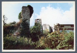 °°° Cartolina - Morolo La Rocca Resti Del Castello Dei Colonna - Nuova °°° - Frosinone