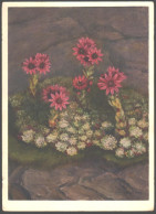 Switzerland Postcard With Stamps 1951 - Sonstige & Ohne Zuordnung