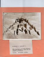 " MIRAGE 5 DASSAULT " AVION MILITAIRE. 1968  Achat Immédiat - Ausrüstung