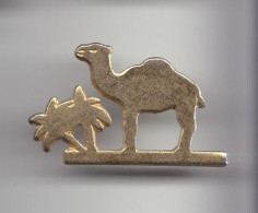Pin's Chameau Dromadaire Cigarette Camel Réf   3699 - Tiere