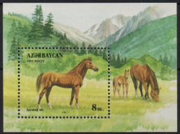 Azerbaïdjan Cheval -Horse XXX 1993 - Azerbaiján