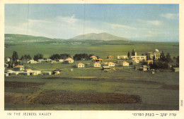 P-24-Mi-Is-2011 : IN THE JEZREEL VALLEY - Israël