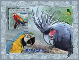 ( 250 37) - 2007- MOZAMBIQUE - PARROTS                1V  MNH** - Papegaaien, Parkieten