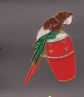 Pin's Perroquet Tam Tam . Réf 812 - Animali