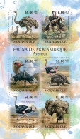 ( 250 41) - 2011- MOZAMBIQUE - OSTRICHS                6V  MNH** - Straussen- Und Laufvögel