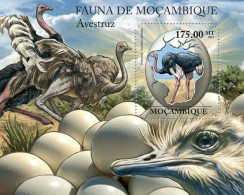 ( 250 42) - 2011- MOZAMBIQUE - OSTRICHS                1V  MNH** - Ostriches