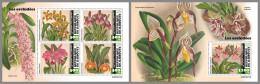 DJIBOUTI 2023 MNH Orchids Orchideen M/S+S/S – OFFICIAL ISSUE – DHQ2420 - Orchids