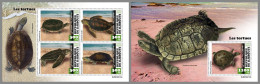 DJIBOUTI 2023 MNH Turtles Schildkröten M/S+S/S – OFFICIAL ISSUE – DHQ2420 - Turtles