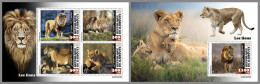 DJIBOUTI 2023 MNH Lions Löwen M/S+S/S – OFFICIAL ISSUE – DHQ2420 - Big Cats (cats Of Prey)