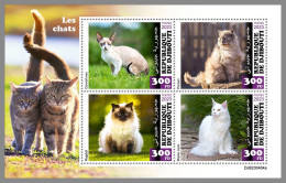 DJIBOUTI 2023 MNH Cats Katzen M/S – OFFICIAL ISSUE – DHQ2420 - Gatos Domésticos