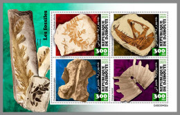 DJIBOUTI 2023 MNH Fossils Fossilien M/S – OFFICIAL ISSUE – DHQ2420 - Fósiles