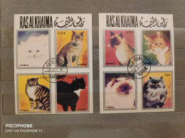 1978	Ras Al Khaima	Cats 4 - Ra's Al-Chaima