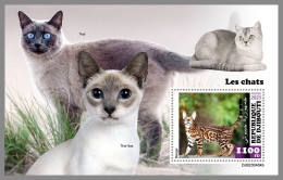 DJIBOUTI 2023 MNH Cats Katzen S/S – IMPERFORATED – DHQ2420 - Chats Domestiques