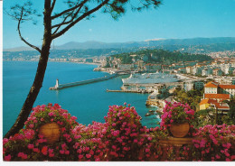 Nice - Le Port Et La Baie Des Anges - Navegación - Puerto