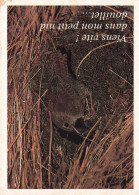 ANIMAUX - Oiseaux - Viens Vite Dans Mon Petit Nid Douillet... - Message D'animaux - Carte Postale Ancienne - Birds