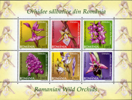 280293 MNH RUMANIA 2007 ORQUIDEAS - Otros & Sin Clasificación