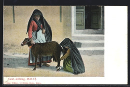 AK Malta, Goat-milking  - Malta