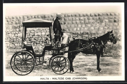 AK Malta, Maltese Cab, Carrozin, Pferdekutsche Mit Kutscher  - Horses