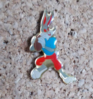 Pin's - Rugby - Lapin - Rugby