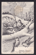 Frohliche Pfingsten! - Birds / Year 1904 / Long Line Postcard Circulated, 2 Scans - Pentecoste