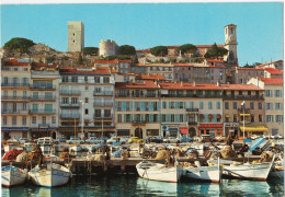 Cannes - Le Vieux Port Et Le Suquet - Cannes