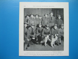 (1919) Chien COLLIE, Mascotte Des Soldats Américains - Non Classés