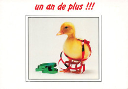 ANIMAUX - Oiseaux - Caneton - Un An De Plus - Carte Postale - Oiseaux