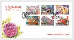 Guernsey Great Britain 2024 Europa CEPT Underwater Fauna & Flora Set Of 6 Stamps FDC - Vie Marine