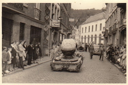 Photo Du Corso Fleuri Bataille De Fleurs De SPA Belgique - Europa