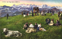 RIGI KULM, MOUNTAIN, ARCHITECTURE, COWS, ANIMAL, CHILDREN, WOMEN AND MAN, UMBRELLA, SWITZERLAND, POSTCARD - Autres & Non Classés