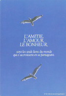 ANIMAUX - Oiseaux - Oiseaux En Plein Vol - Goéland - L'amitié L'amour Le Bonheur - Carte Postale - Oiseaux