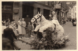 Photo Du Corso Fleuri Bataille De Fleurs De SPA Belgique - Europa