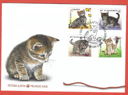 Belarus 2017; Kittens, Gattini, Chatons, Kätzchen, Cat, Cats, Gatto, Chats: FDC On Cover With Cat. - Gatti